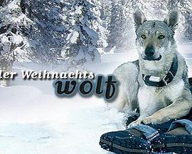 我会回来过圣诞（）