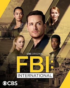 联邦调查局：国际第四季 FBI: International Season 4