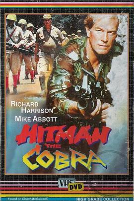 战火连天 Hitman the Cobra