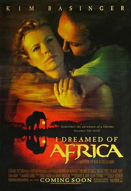 梦游非洲 I Dreamed of Africa