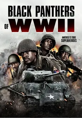 二战黑豹[电影解说]