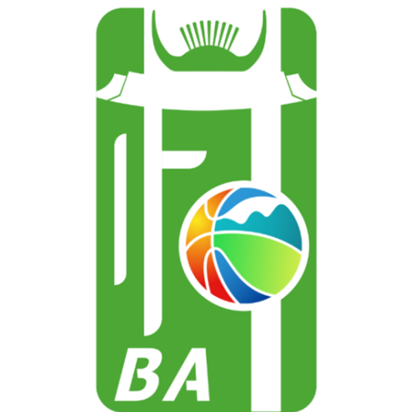 和美乡村篮球赛 DAY3体育馆会场20251029