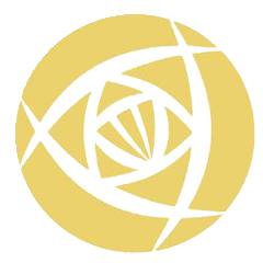 中女超 上海农商银行女足vs武汉车谷江大女足20250810