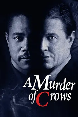 乌鸦谋杀案[电影解说]