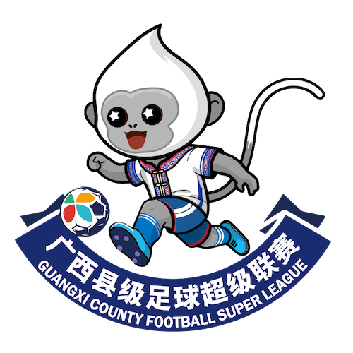 广西县级足球超级联赛 百色市平果市队2.2河池市宜州区队20260124